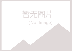 城阳区山柏电讯有限公司